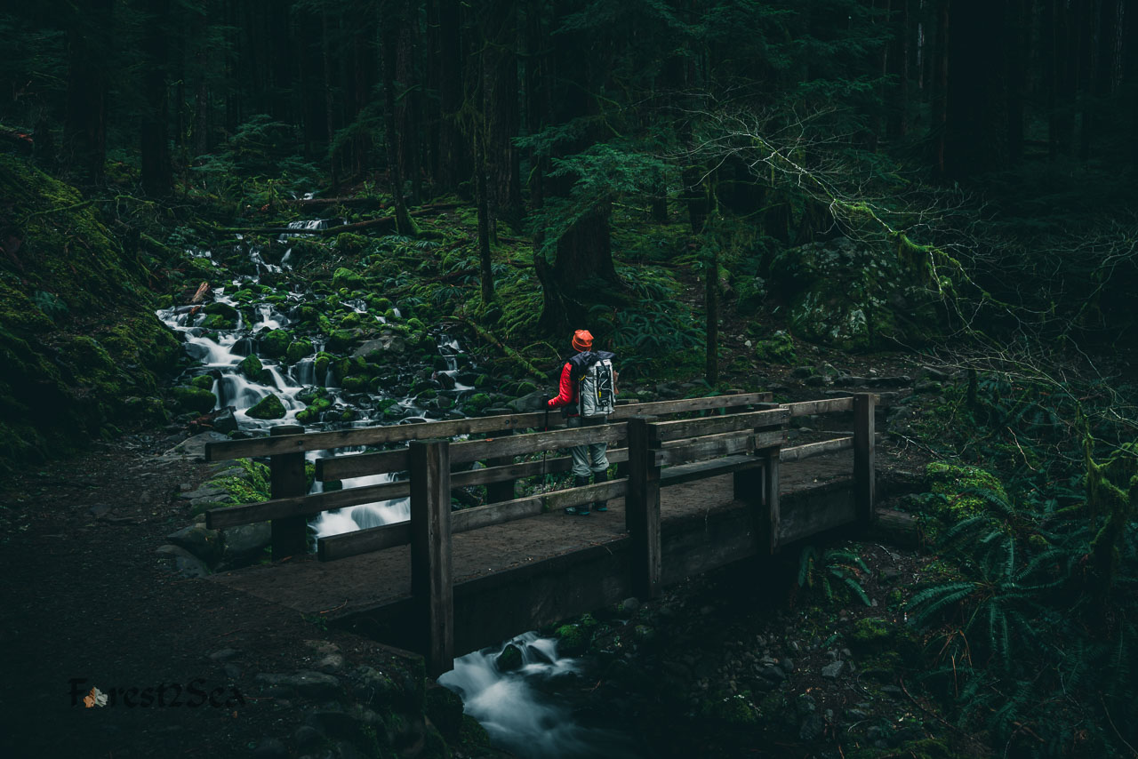 Crtrgrl meditates on a moss covered cascade in the temperate rainforest