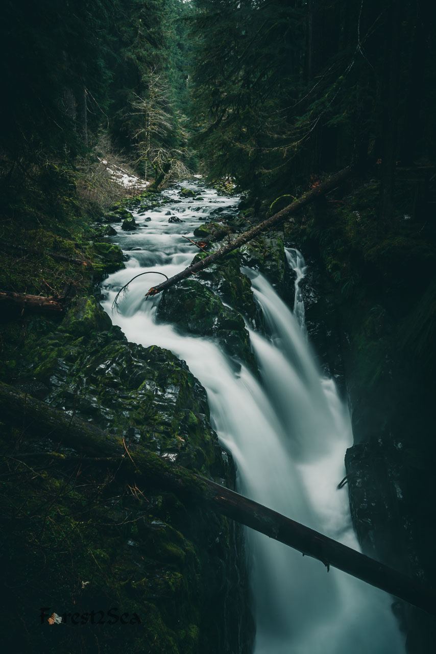 The majestic Sol Duc Falls in early Spring