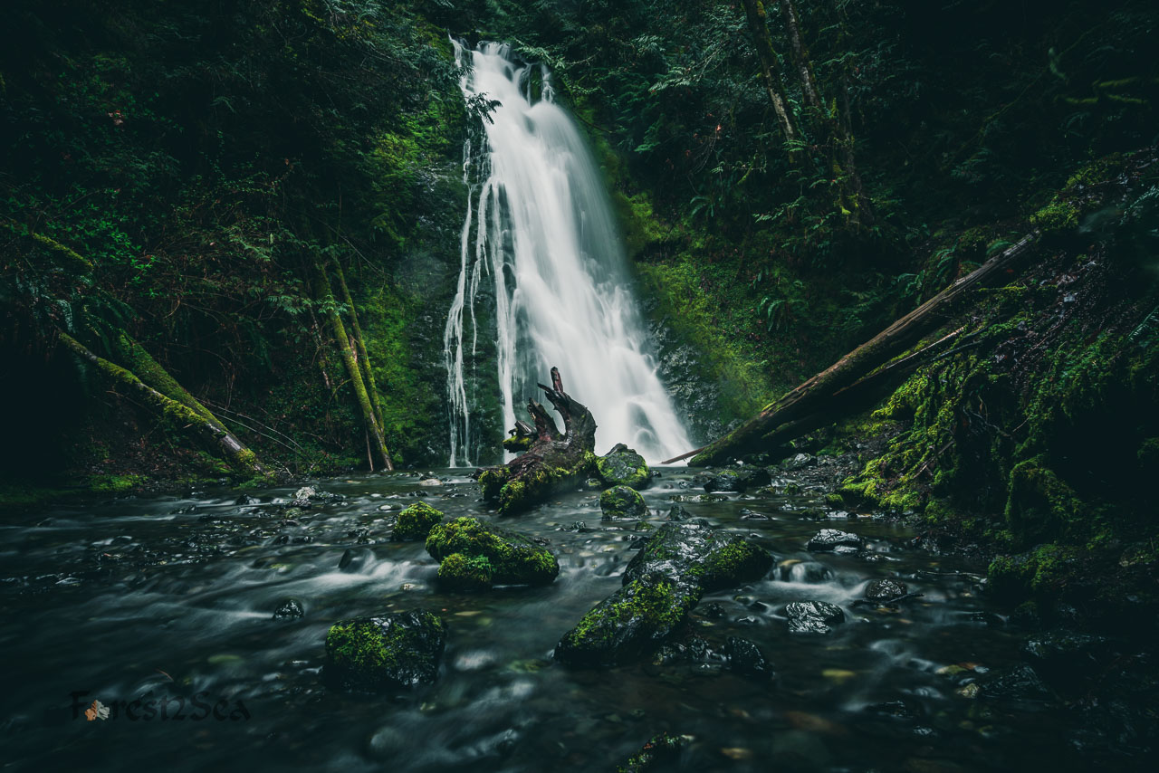 Madison Falls in Olympic National Park