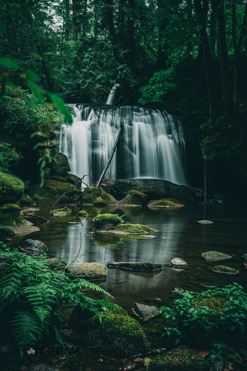 Whatcom Falls in Bellingham WA