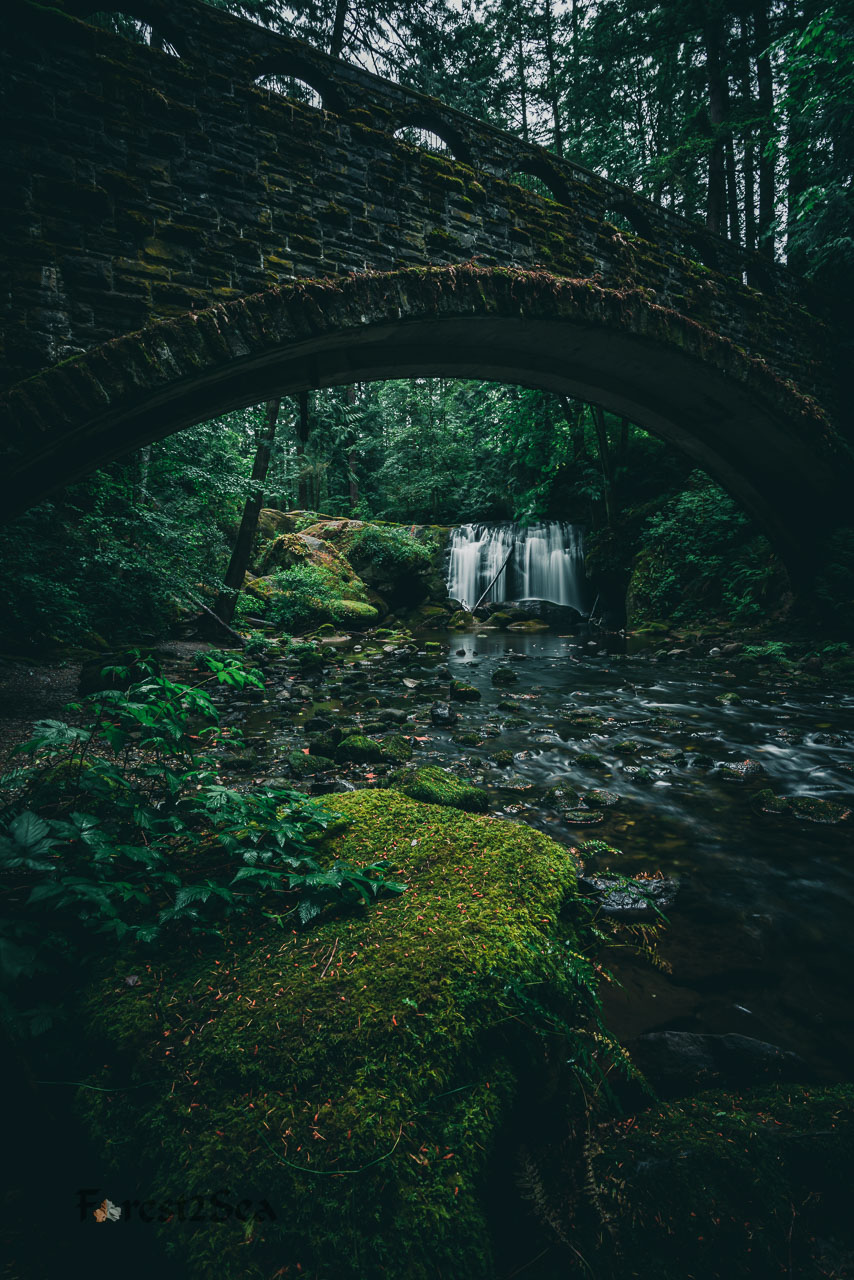 Whatcom Falls in Bellingham WA