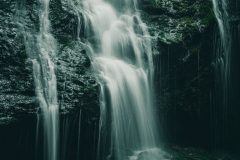 Nourishing Veils III