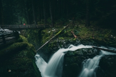 The majestic Sol Duc Falls in early Spring
