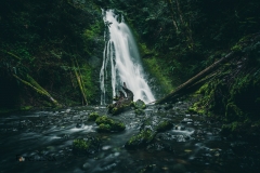 Madison Falls in Olympic National Park