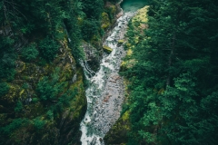 Forested river valley in North Cascades National Park