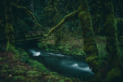 Old moss covered bridge over a creek in Olympic National Park