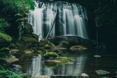 Whatcom Falls in Bellingham WA