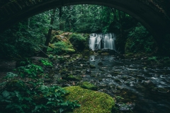 Whatcom Falls in Bellingham WA