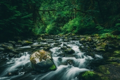 River cascades in Olympic National Park