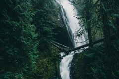 Double waterfall in Olympic National Forest