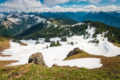 Hurricane Ridge, Olympic National Park