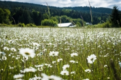 Hooker Road, Sequim