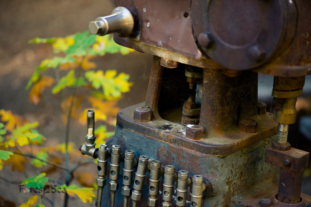 Machinery in the Forest