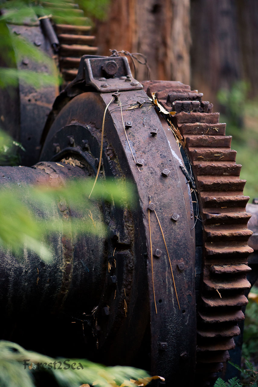 Machinery in the Forest