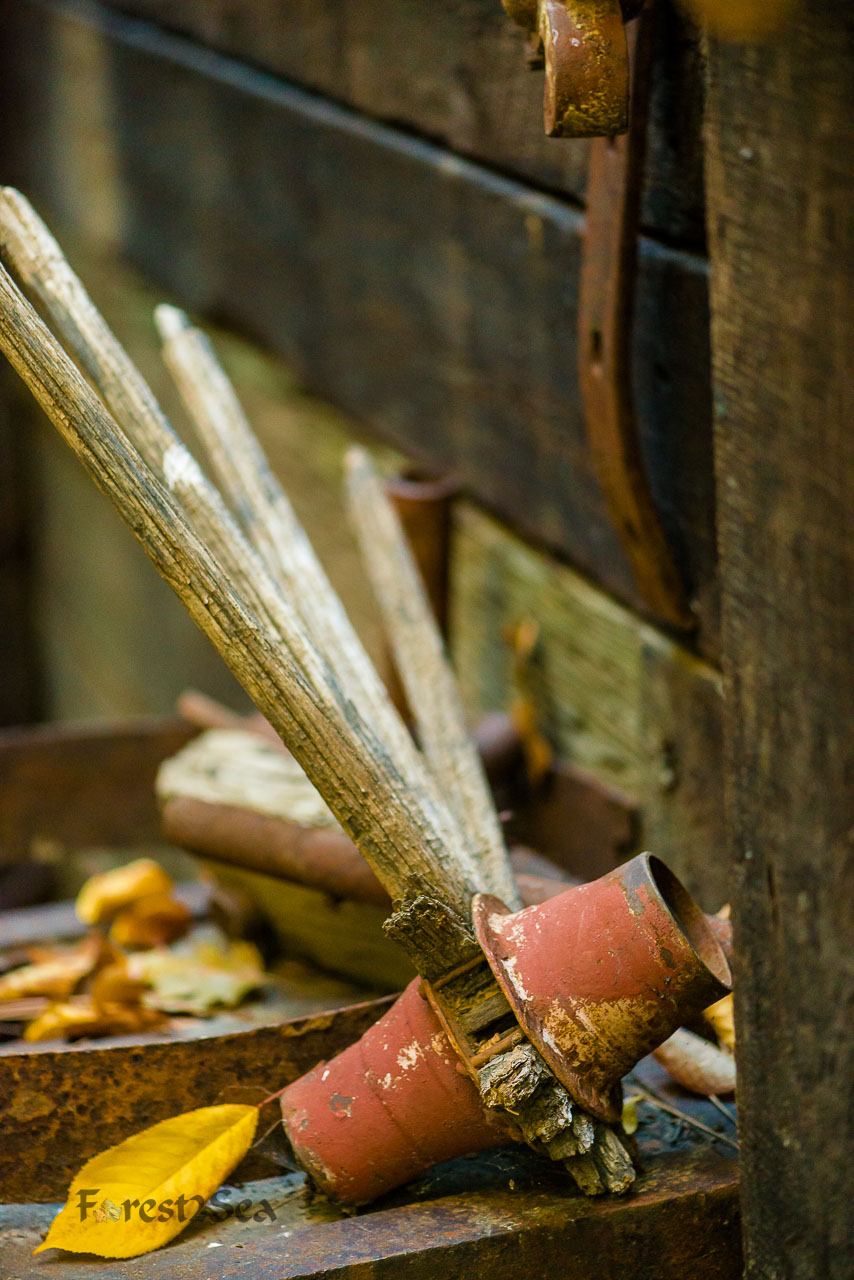 Wheels of Autumns Past