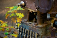 Machinery in the Forest
