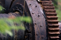 Machinery in the Forest