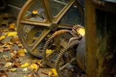 Gears Of Change