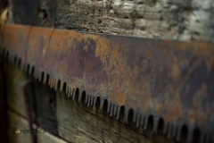 Scars of the Past