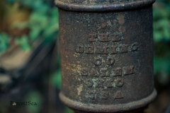 The Deming Co