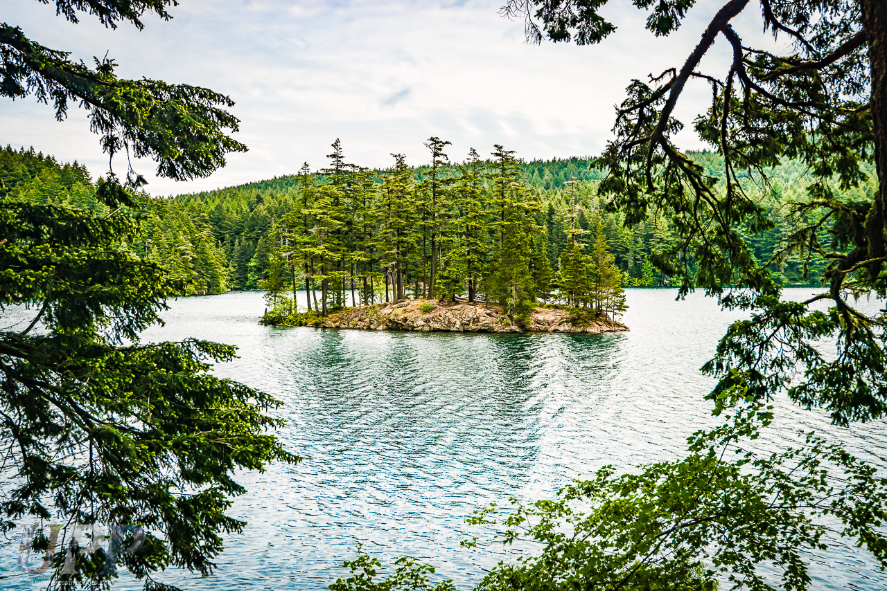 Lost Island