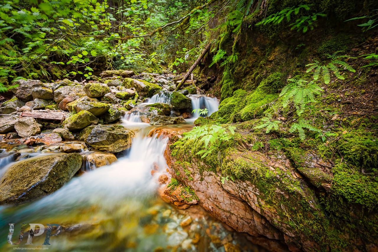 Sleepy Creek