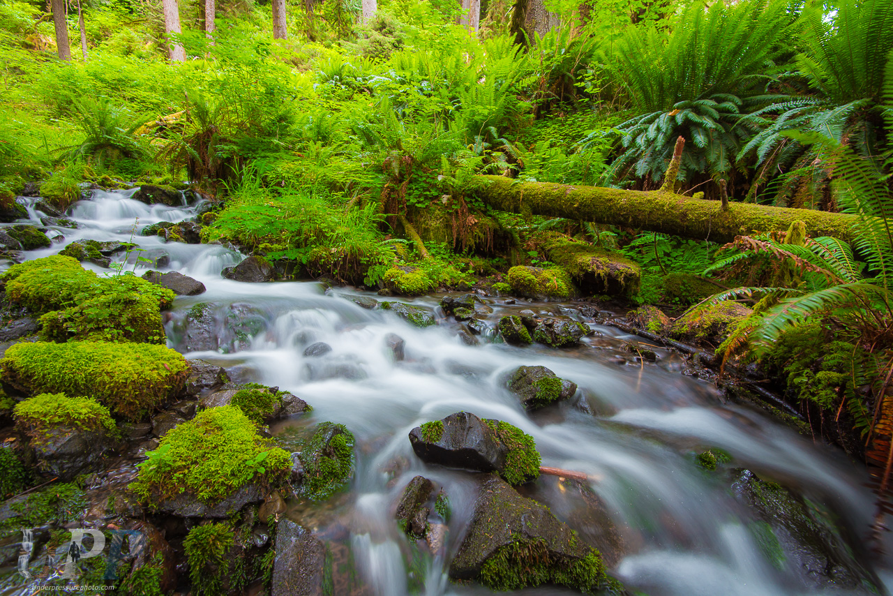Mineral Creek