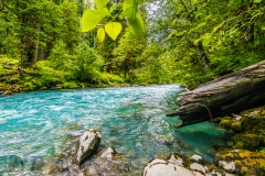 Glacier Blue River in Green